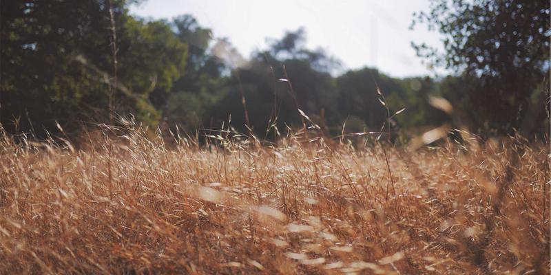 工业自动化4.0时代：SCADA、智能控制与PLC的融合演进