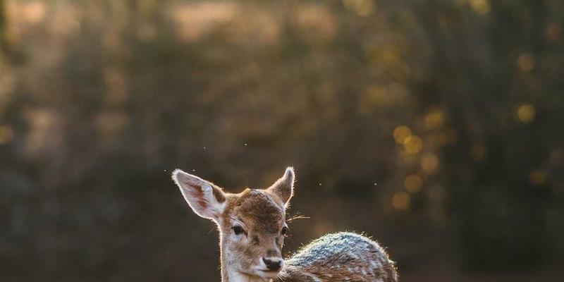 工业自动化99：SCADA系统如何成为智能制造的核心引擎
