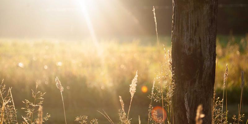 工业自动化新引擎：5G URLLC与TSN如何重塑PLC与SCADA系统