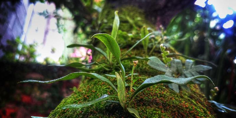 工业自动化新纪元：PLC、SCADA与智能制造的融合与未来