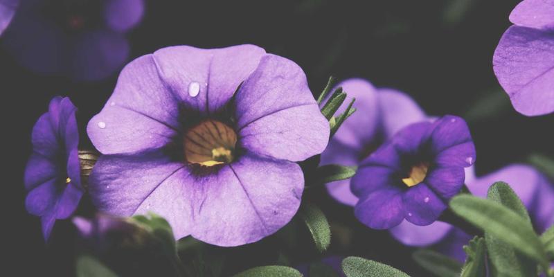 工业自动化新纪元：温登森特引领智能控制变革