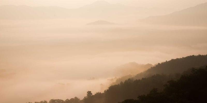 工业自动化核心支柱：PLC与SCADA系统深度解析