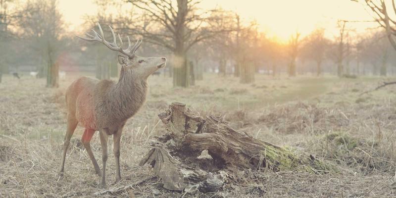 开源革命：工业自动化中PLC与智能控制的未来之路