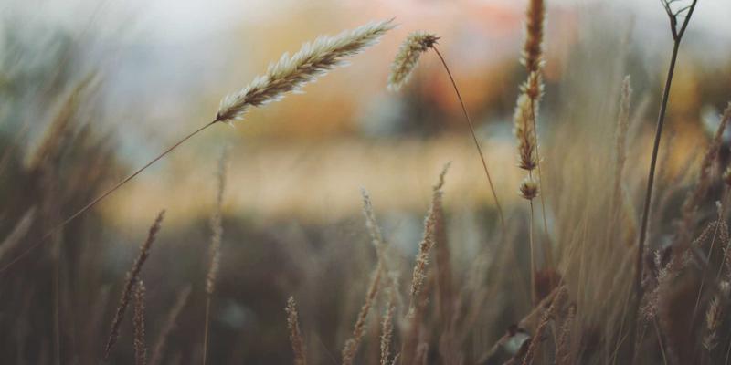 智能制造新引擎：PLC如何通过振动分析与AI模型实现预测性维护