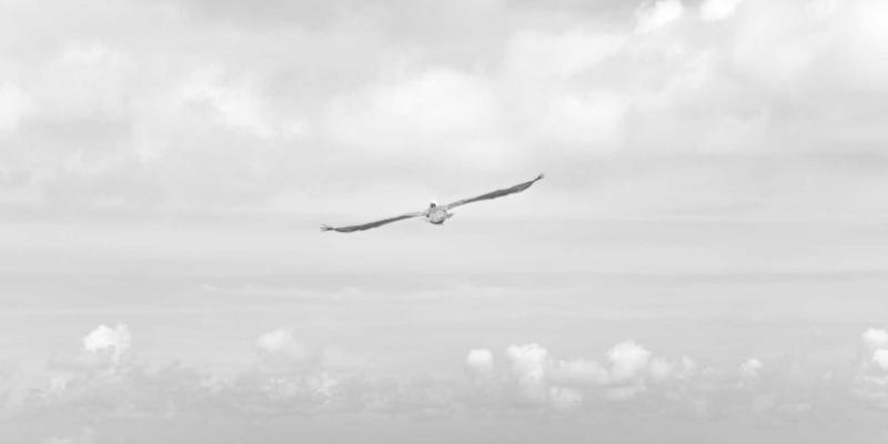 智能制造新引擎：Raspberry Pi与ROS在工业自动化中的创新应用