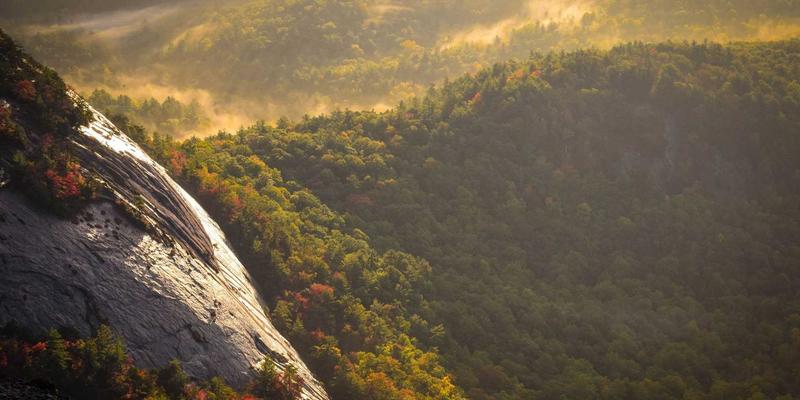 智能制造新范式：工业自动化柔性制造系统如何通过模块化设计应对小批量多品种生产挑战