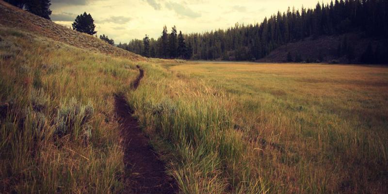 智能控制新篇章：工业自动化中IO-Link技术如何通过智能传感器实现设备级数据透明化与远程配置