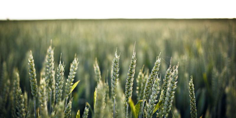 智能控制新纪元：工业自动化中功能安全与信息安全的融合设计