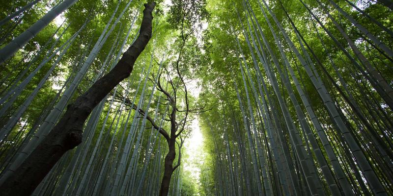 温登森特：工业自动化的智能控制新范式